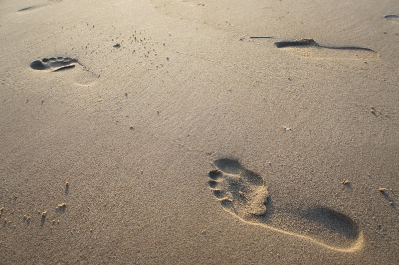 Strand und Watt